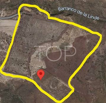 Unglaublich riesiges Grundstück in Arico