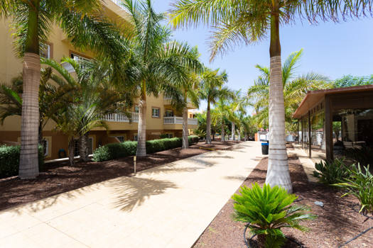 Apartamento de esquina de dos dormitorios en planta baja con gran terraza soleada en venta en Palm-Mar, Arona