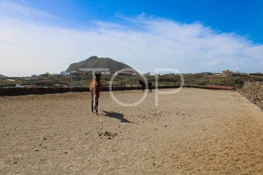 Casa de campo rustica con terreno ideal para caballos en San Miguel