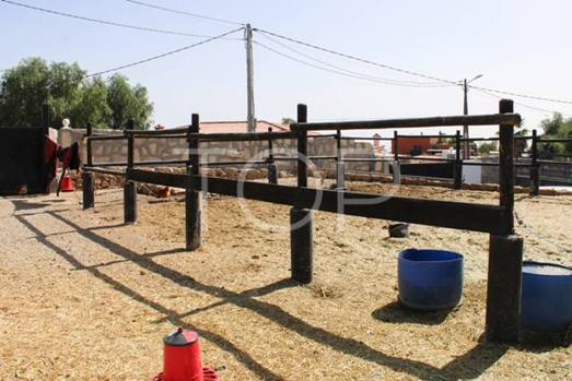Rustikales Landhaus mit Grundstück ideal für Pferde in San Miguel