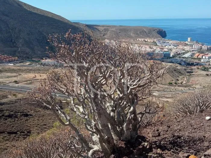 Completely refurbished house in Chayofa with private garden, terraces and sea view