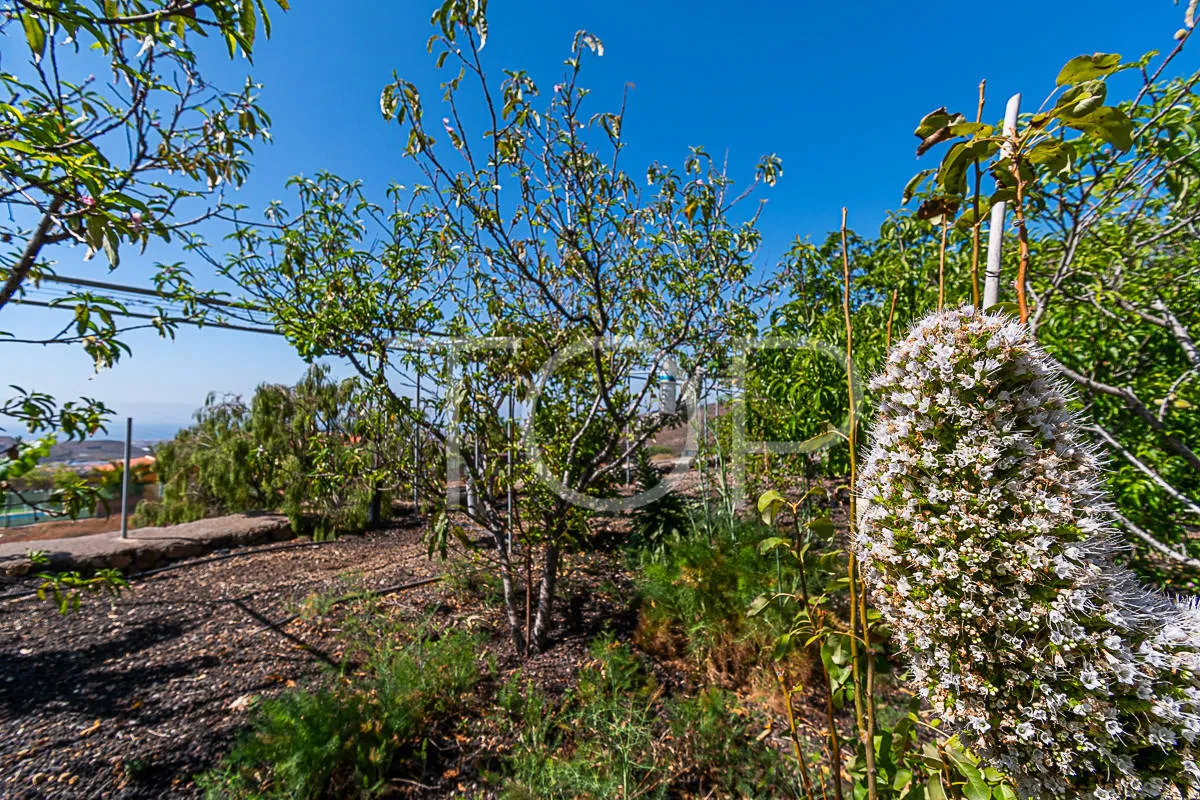 Idílica finca con vistas al mar en venta en San Miguel, Tenerife Sud