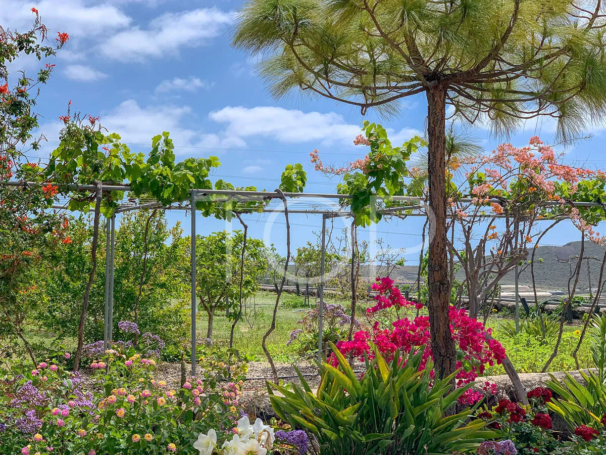 Idílica finca con vistas al mar en venta en San Miguel, Tenerife Sud