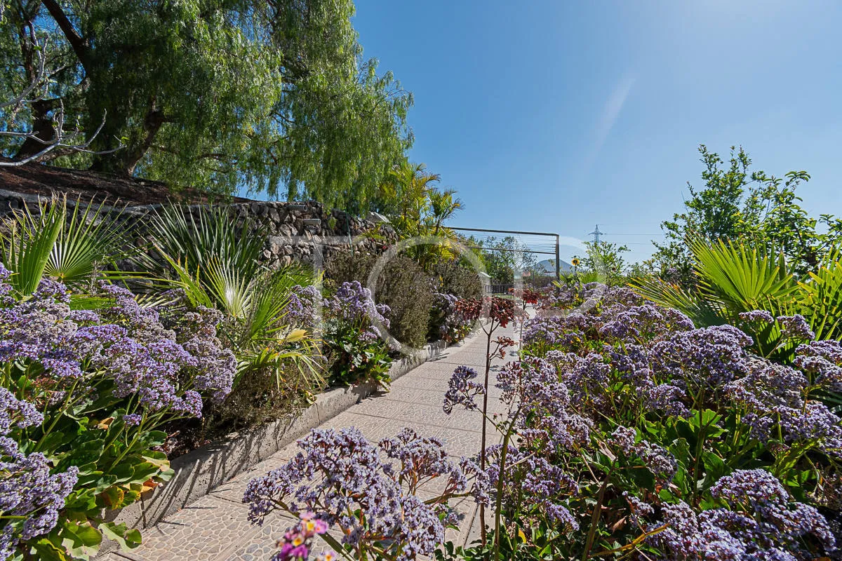 Idílica finca con vistas al mar en venta en San Miguel, Tenerife Sud