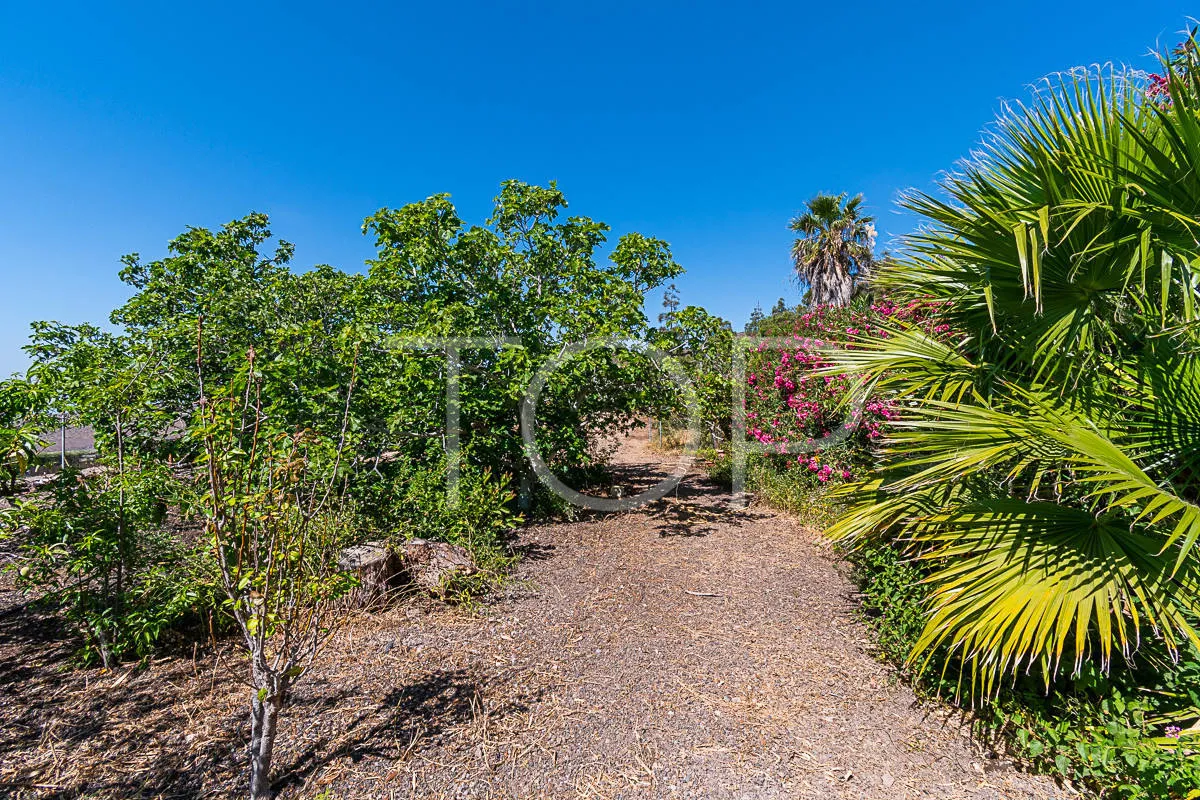 Idílica finca con vistas al mar en venta en San Miguel, Tenerife Sud