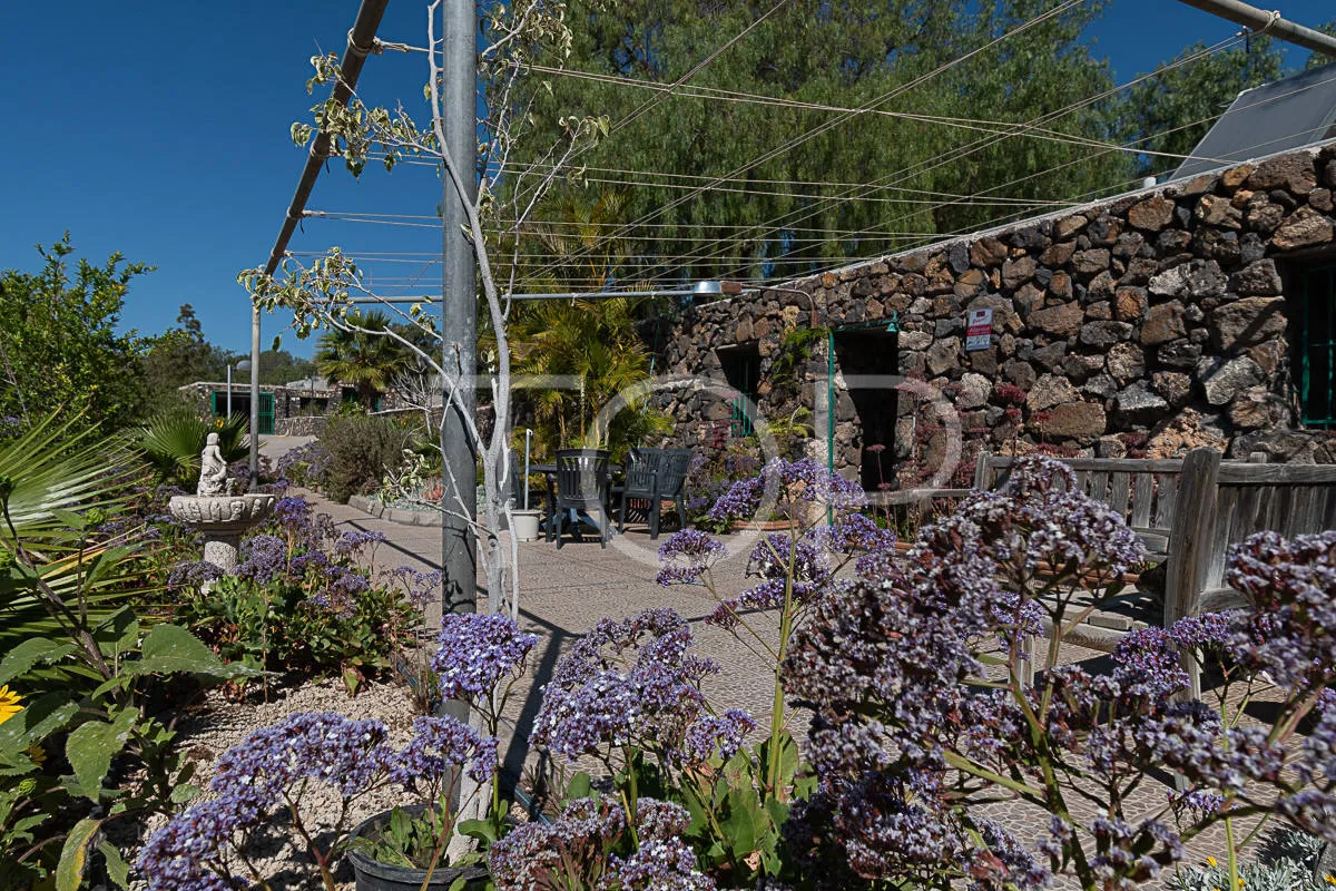 Idílica finca con vistas al mar en venta en San Miguel, Tenerife Sud