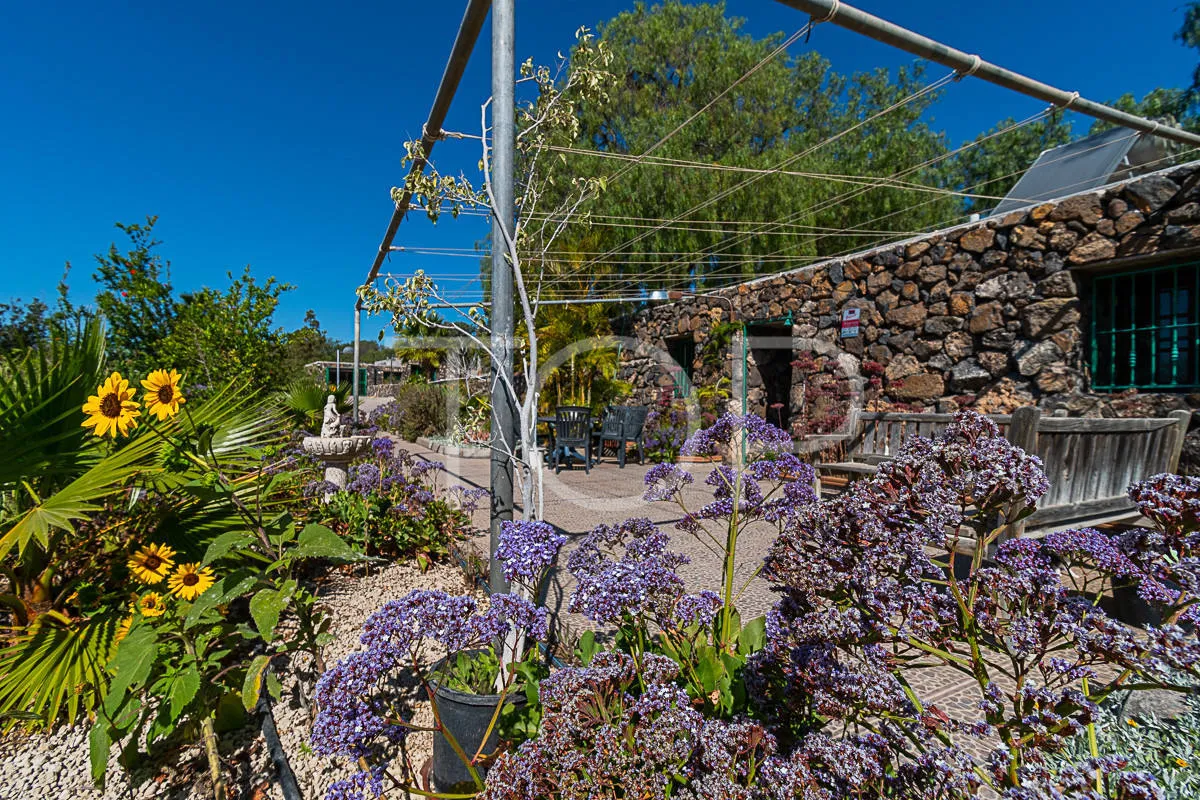 Idílica finca con vistas al mar en venta en San Miguel, Tenerife Sud