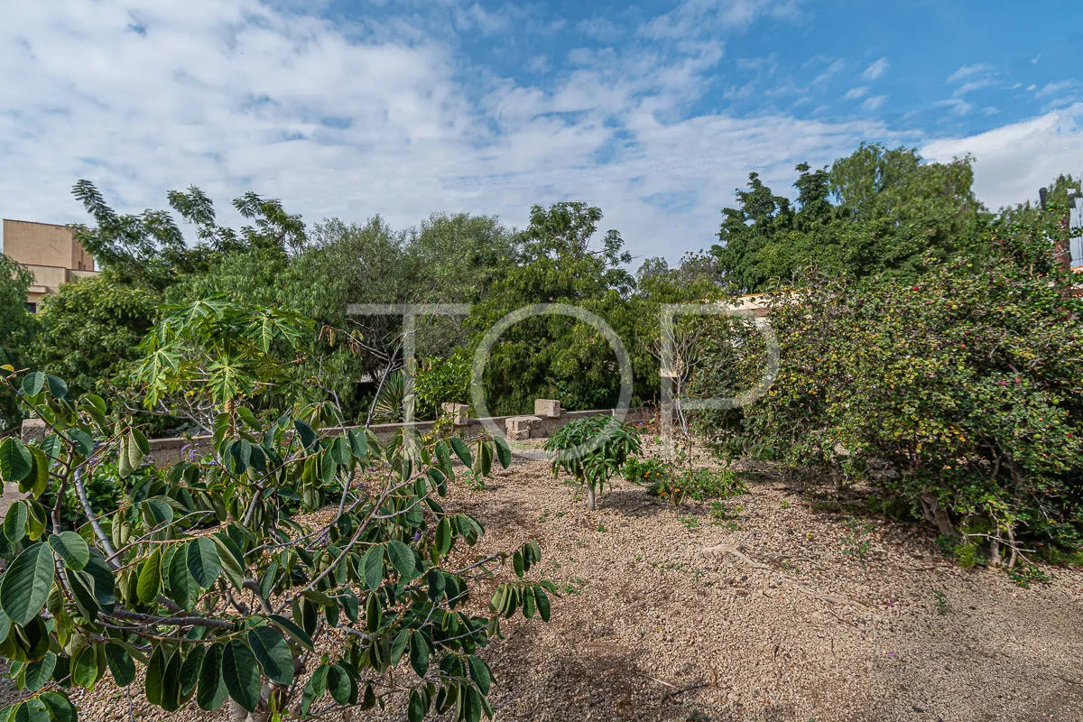Schönes kanarisches Haus mit großem Garten und Meerblick in Aldea Blanca