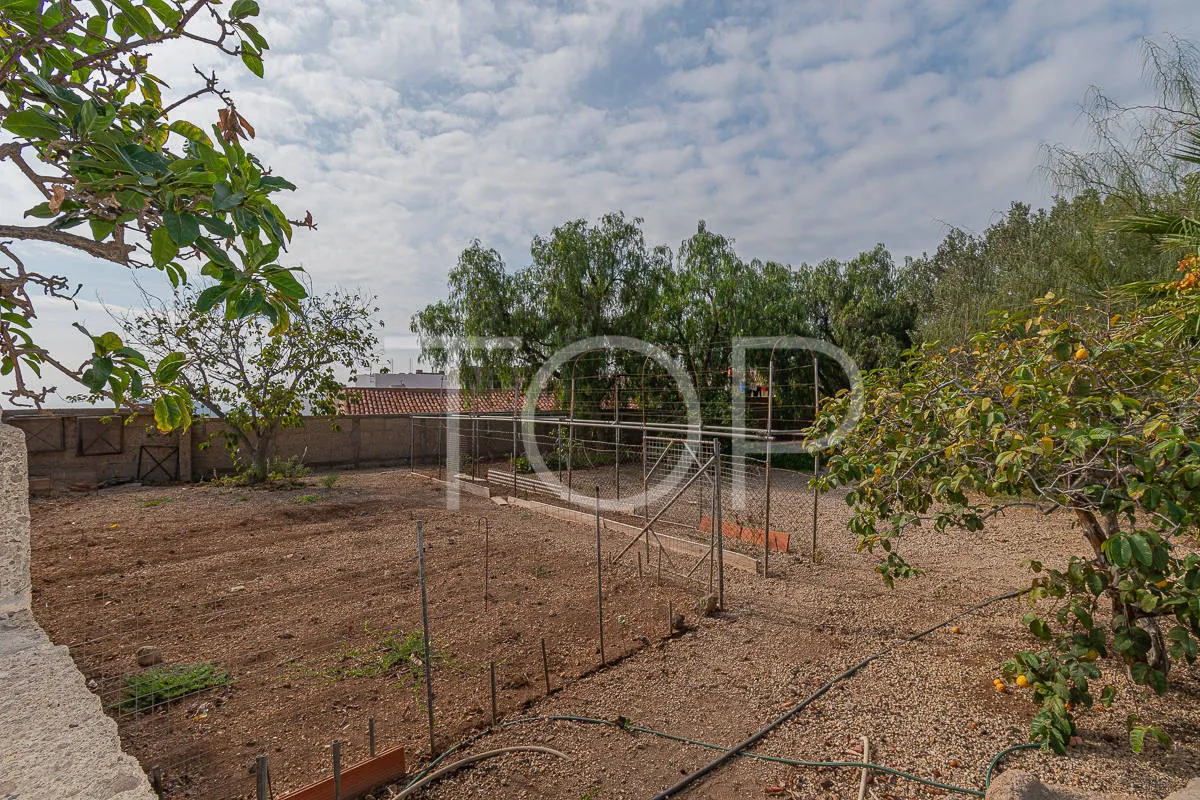 Preciosa casa canaria con gran jardín y vistas al mar en Aldea Blanca