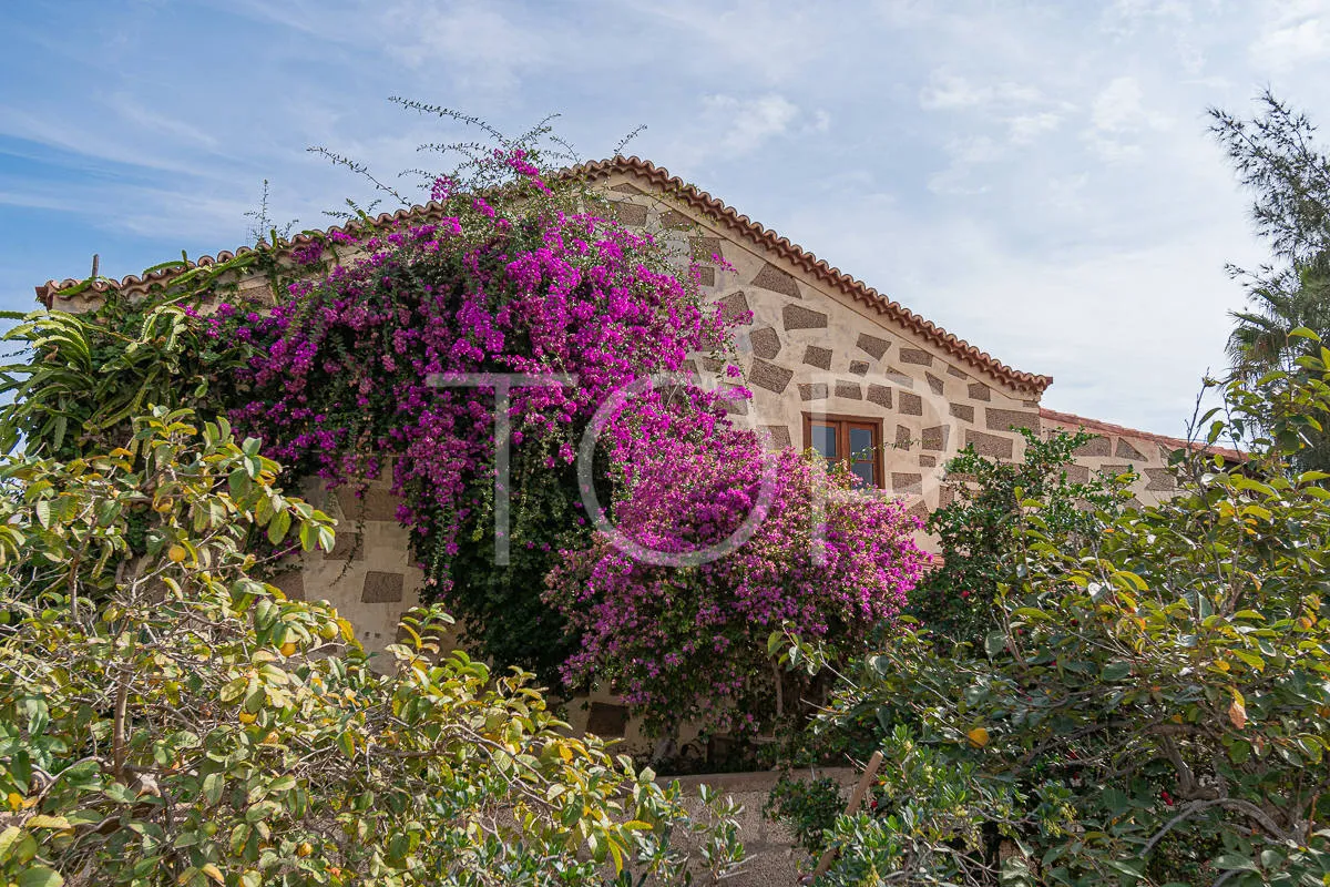 Preciosa casa canaria con gran jardín y vistas al mar en Aldea Blanca