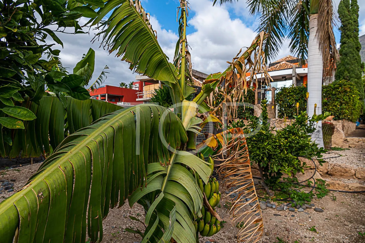 Chalet con piscina y almacén en Costa Adeje (El Madroñal) - A la venta