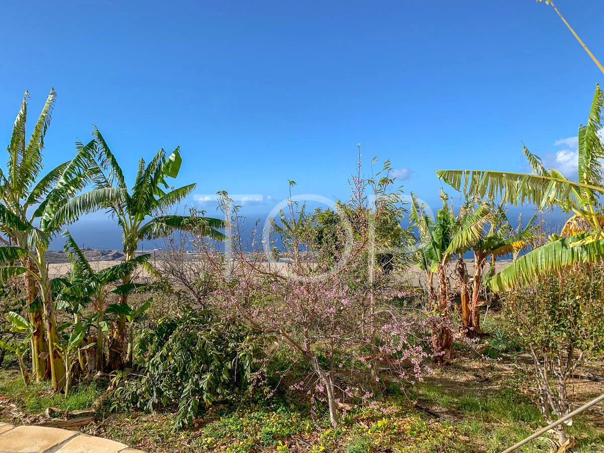 Gran finca en una ubicación privilegiada en Tejina, Guia de Isora