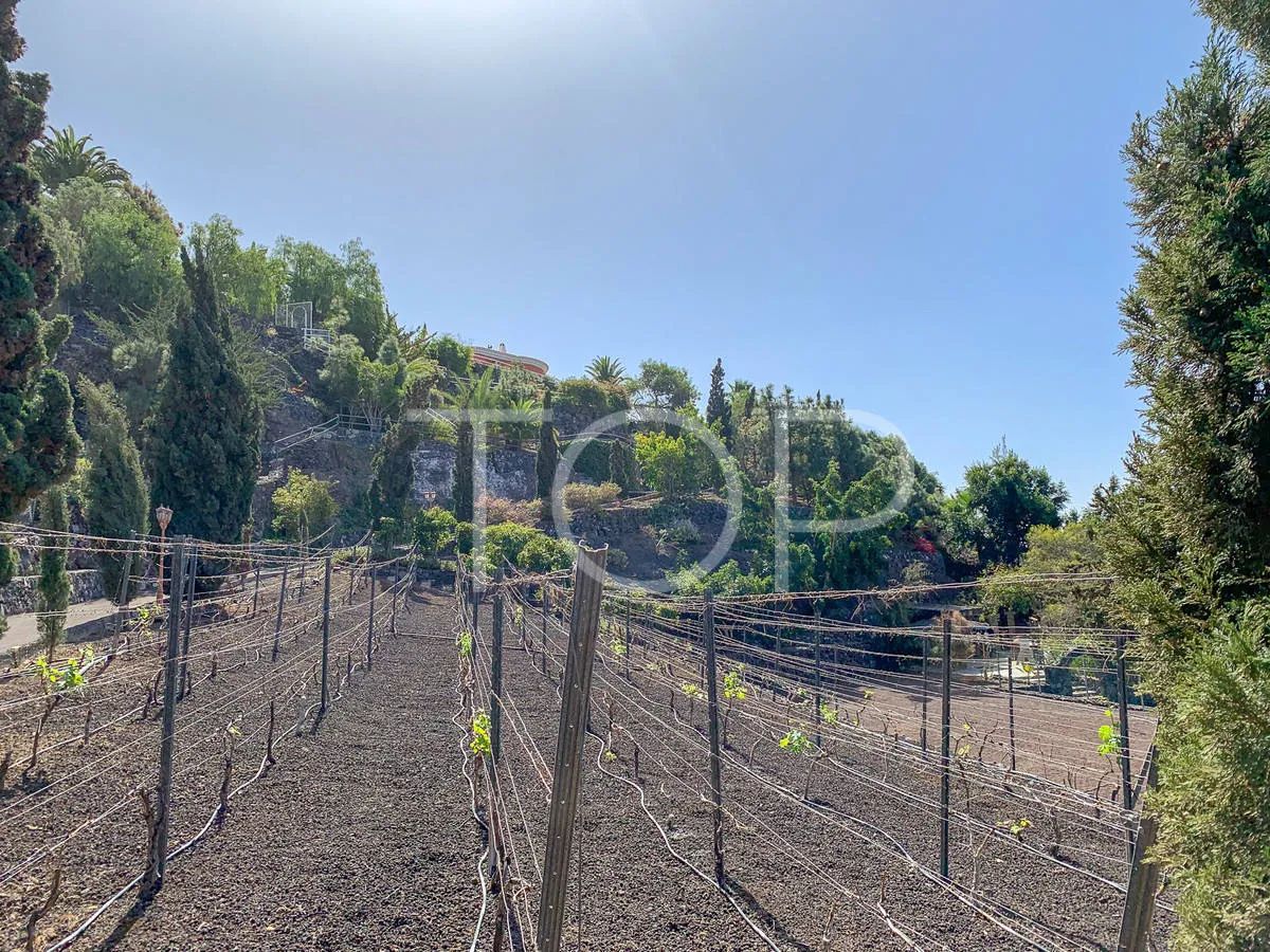 Magnífica Villa rural en Guía de Isora - a la venta