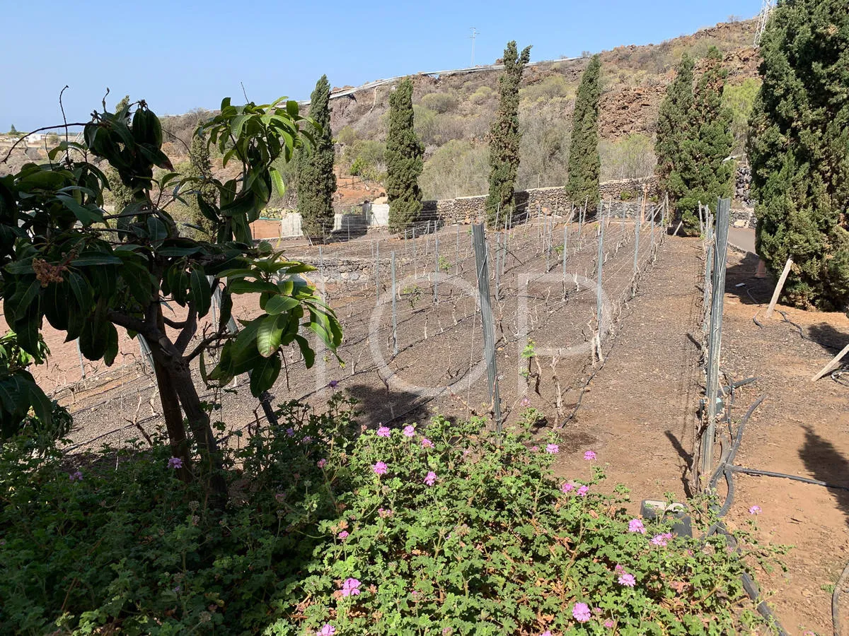 Magnífica Villa rural en Guía de Isora - a la venta