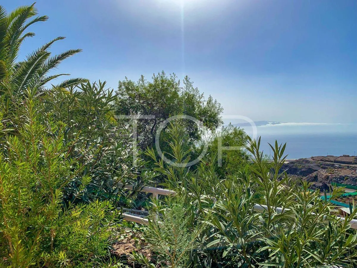 Magnificent finca with charming villa in Guia de Isora - for sale