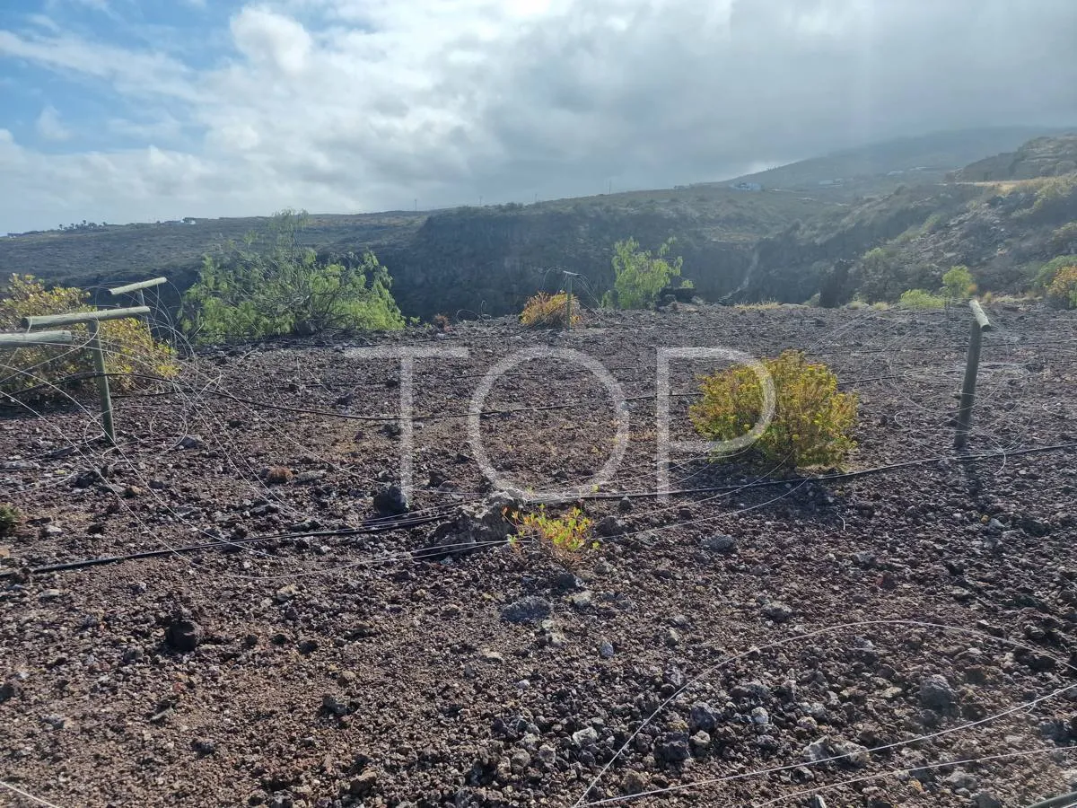 Increíble terreno de enormes dimensiones en Arico