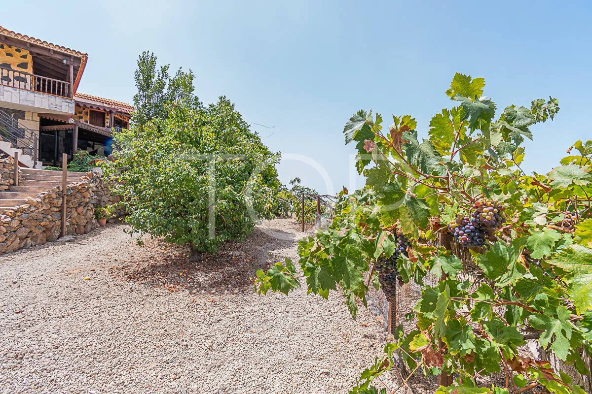Casa rural con encanto en Vera de Erques